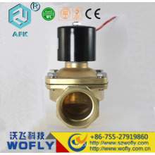 2w-250-25 water 1inch 12v/110v/220v /24 volt solenoid valve
